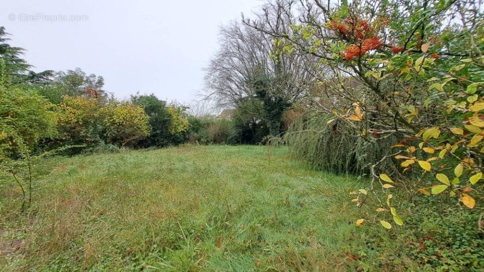 Terrain à PALAISEAU