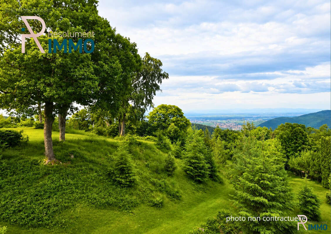 Vue depuis le balcon - Appartement à TURCKHEIM