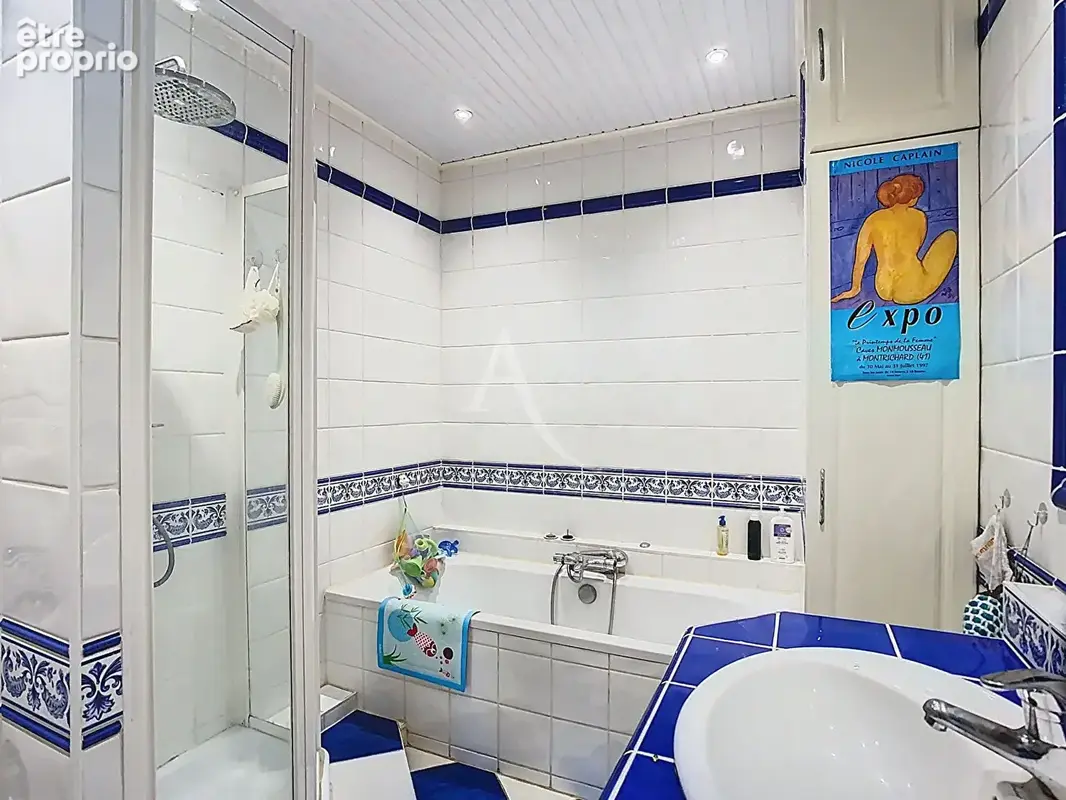 Tours Velpeau Maison 200 m2 avec grand garage 50 m² et jardin proche gare - photo 8