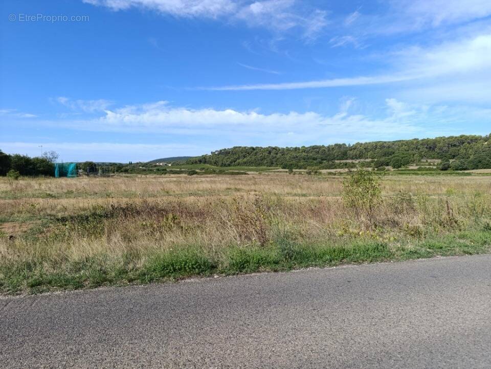 Terrain à SAINT-MATHIEU-DE-TREVIERS