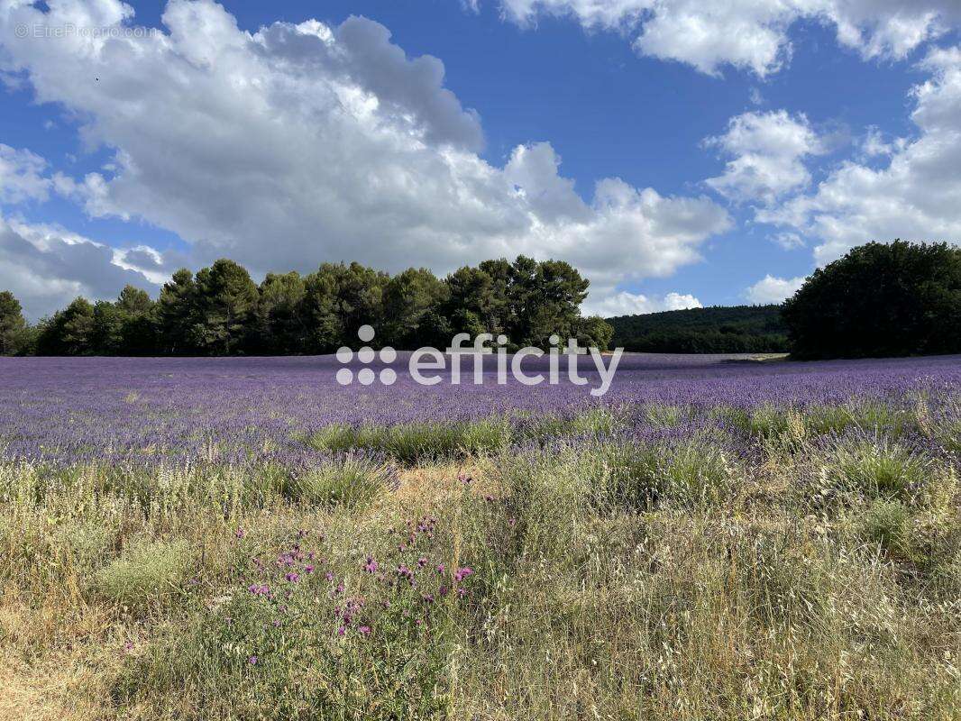 Appartement à SAINT-TRINIT