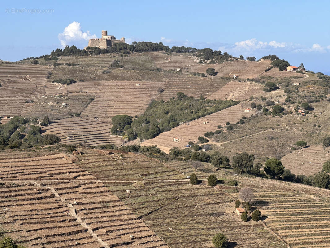 Terrain à PORT-VENDRES