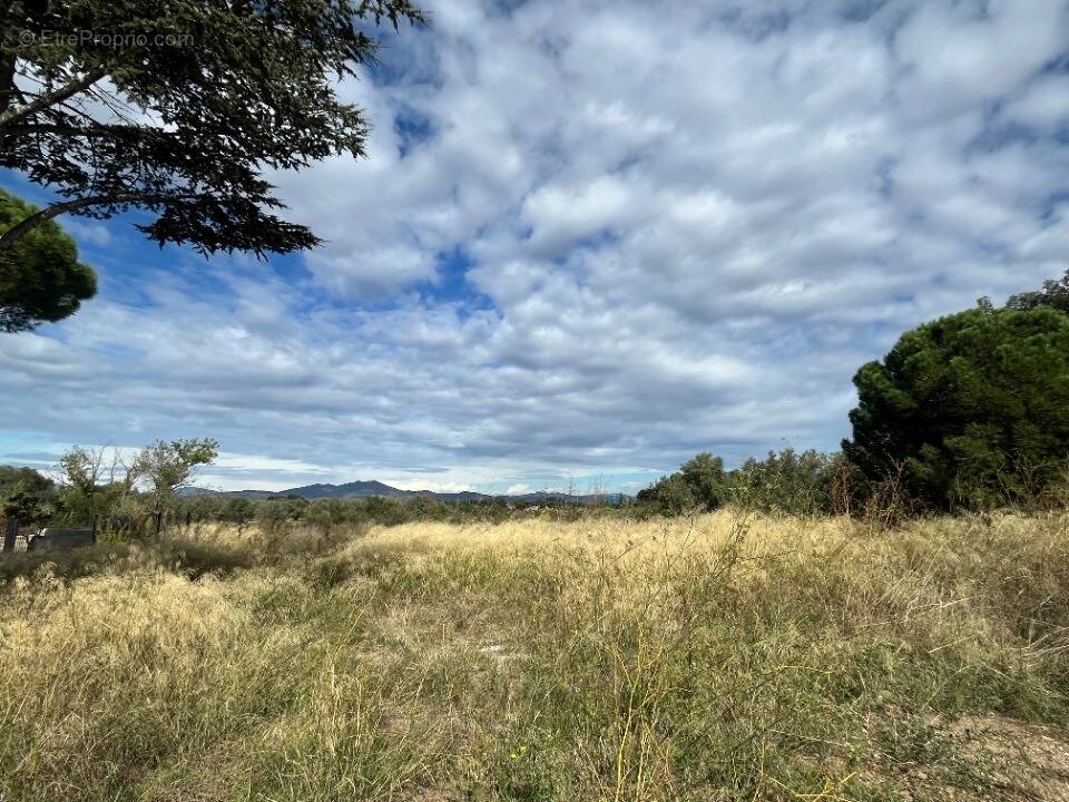 Terrain à CASTELNOU