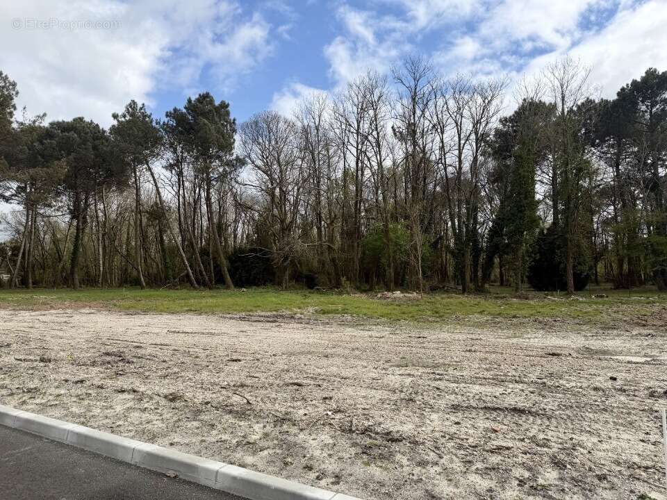 Terrain à SAINT-AUBIN-DE-MEDOC