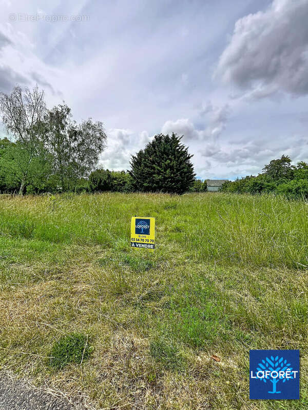 Terrain à bâtir de 906 m² à choussy (41700) ? belle opportunité de construction - photo 6