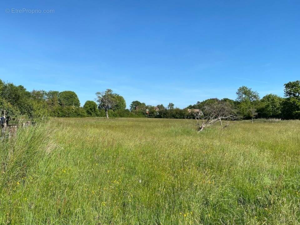 Terrain à AUBERVILLE