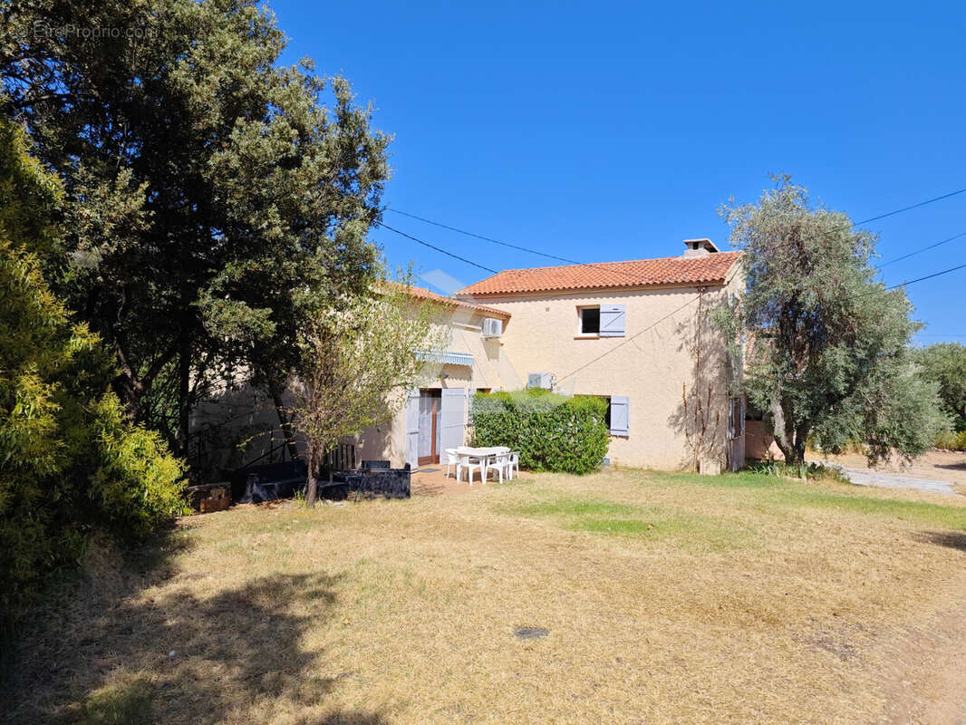 Maison à ZONZA