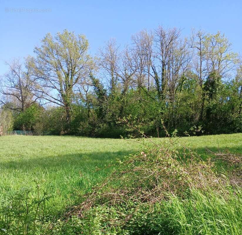 Terrain constructible - photo 4