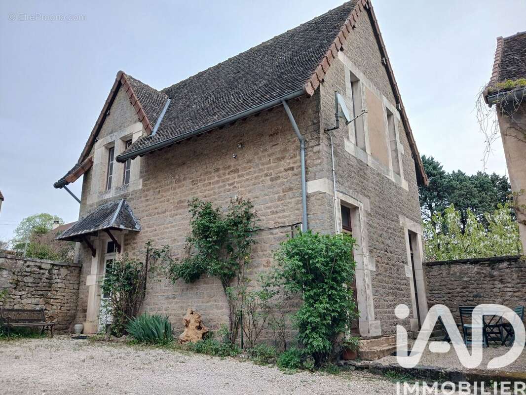 Maison 380 m² à Charrecey  - photo 7