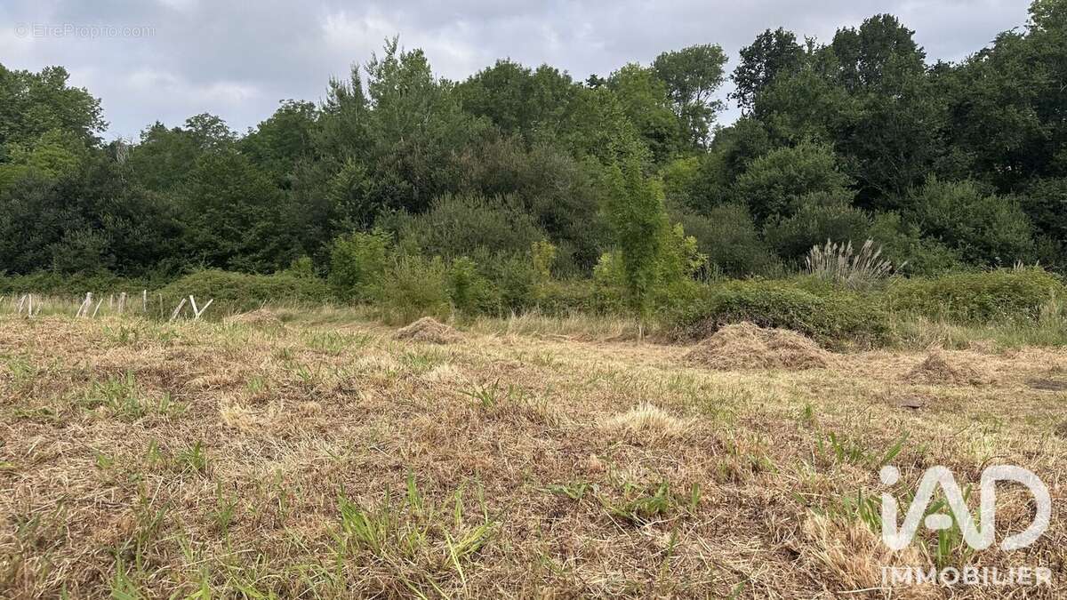 Terrain 540 m² à Arbonne  - photo 2
