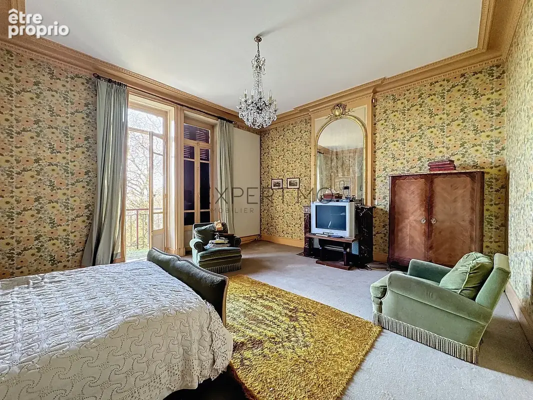 Maison de maître 1906   vue panoramique exceptionnelle sur la saône - photo 19