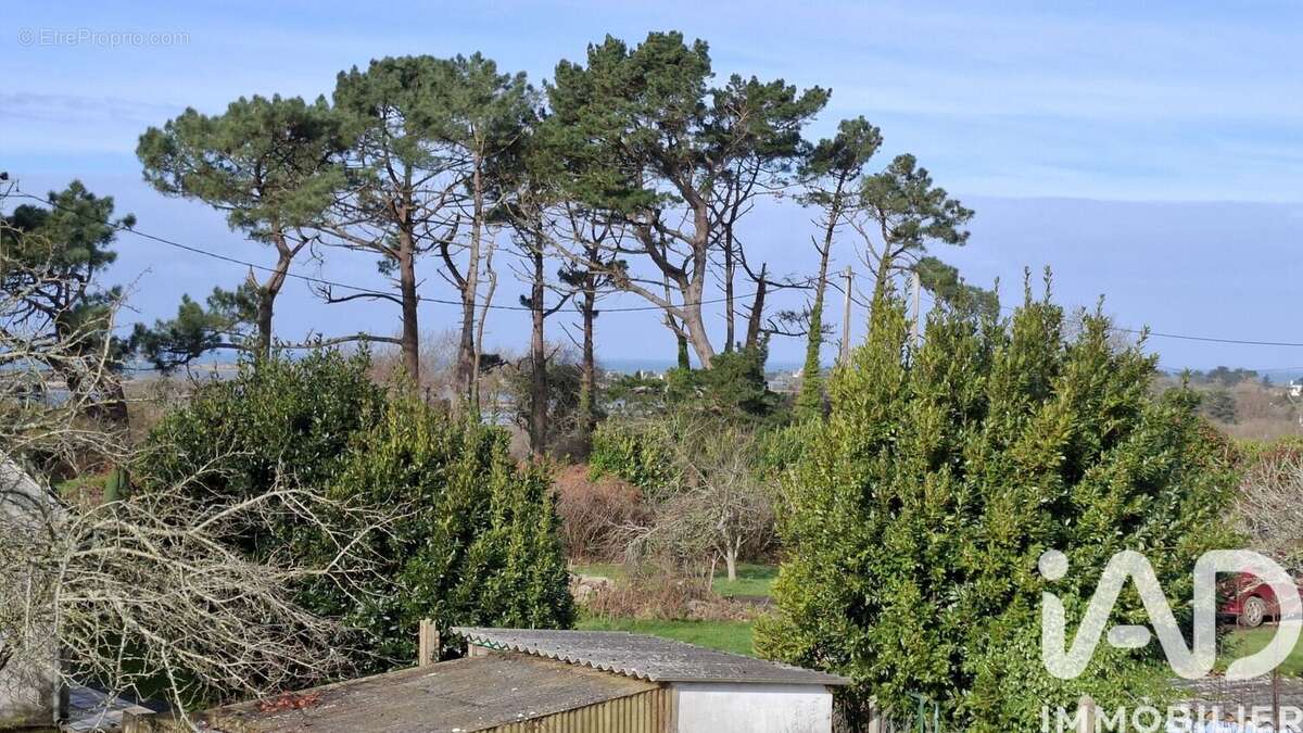 Photo 3 - Maison à PLEUMEUR-BODOU