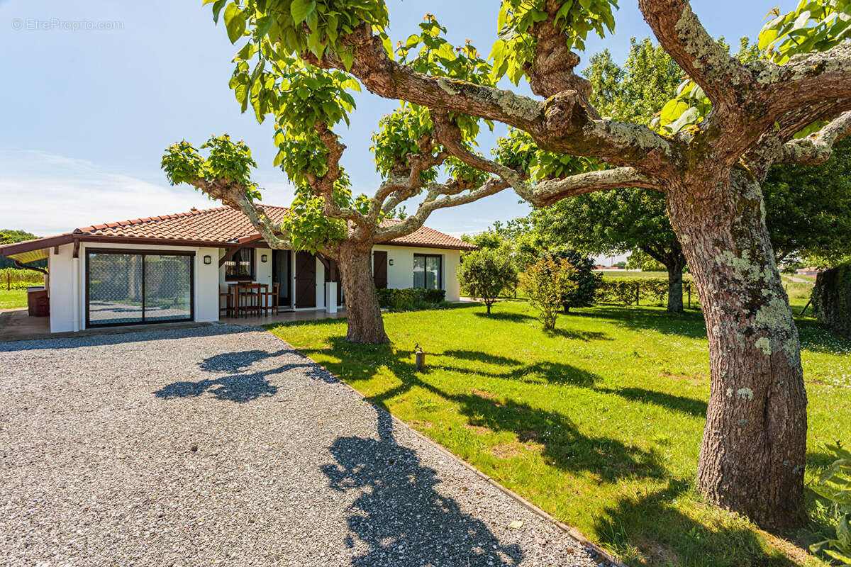 Maison à TOSSE