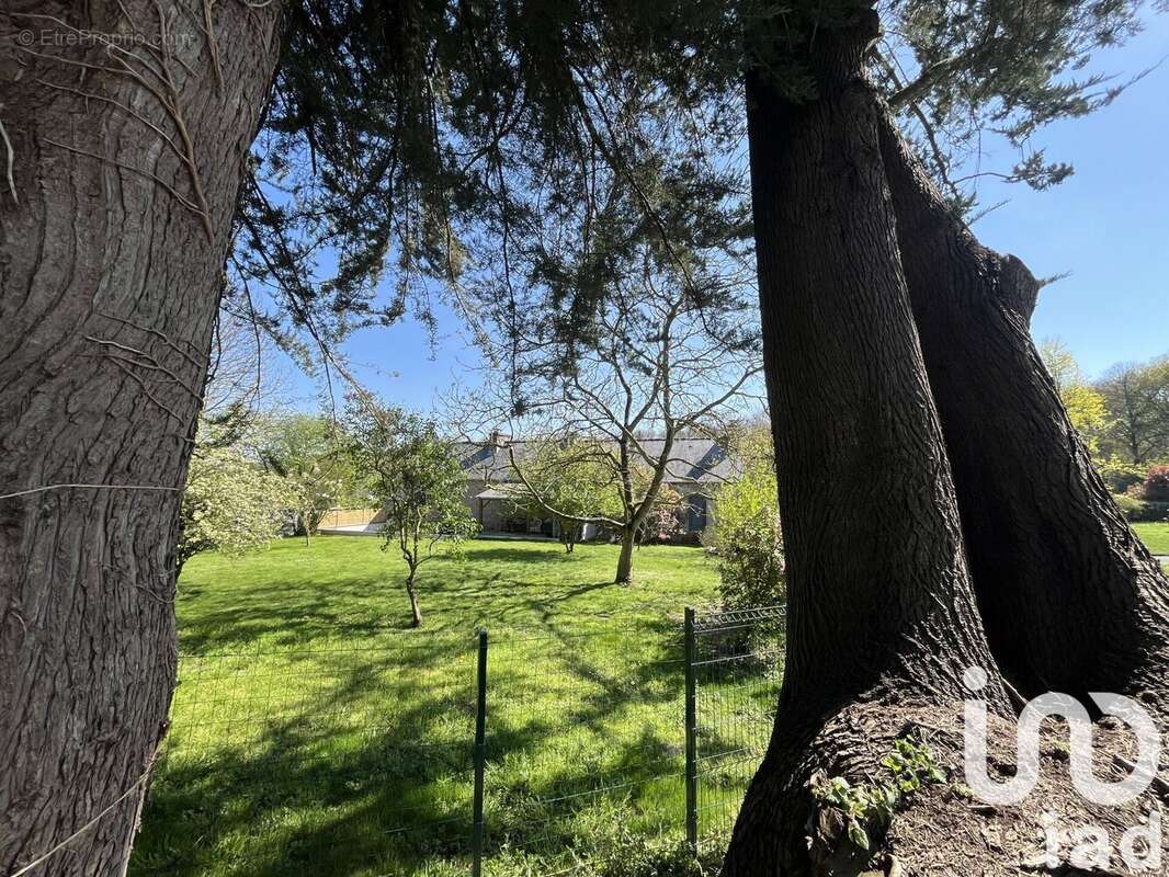 Photo 6 - Maison à DINAN