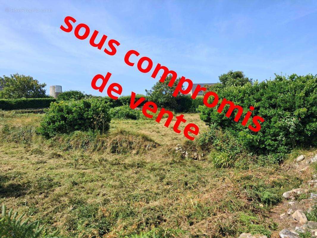 Terrain à ILE-MOLENE