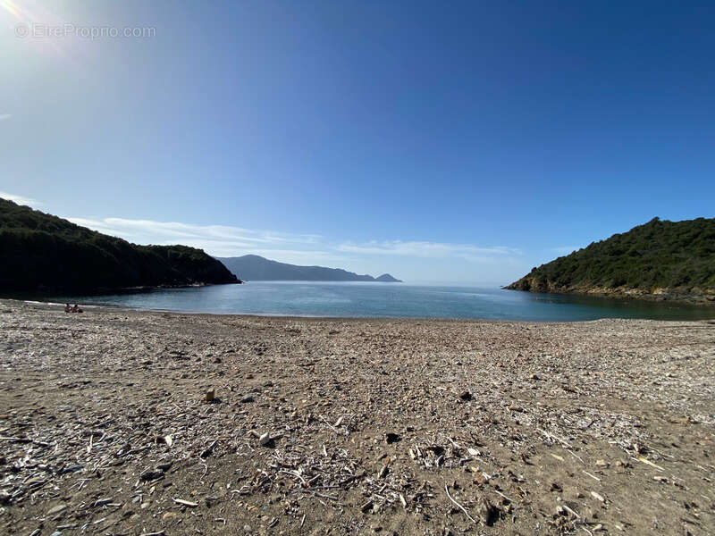 Dpt Corse (20), à vendre PARTINELLO, maison en pierres avec terrasse et parking, proche de la plage - photo 5