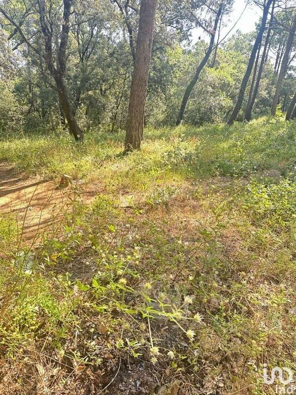 Photo 6 - Terrain à SUZE-LA-ROUSSE