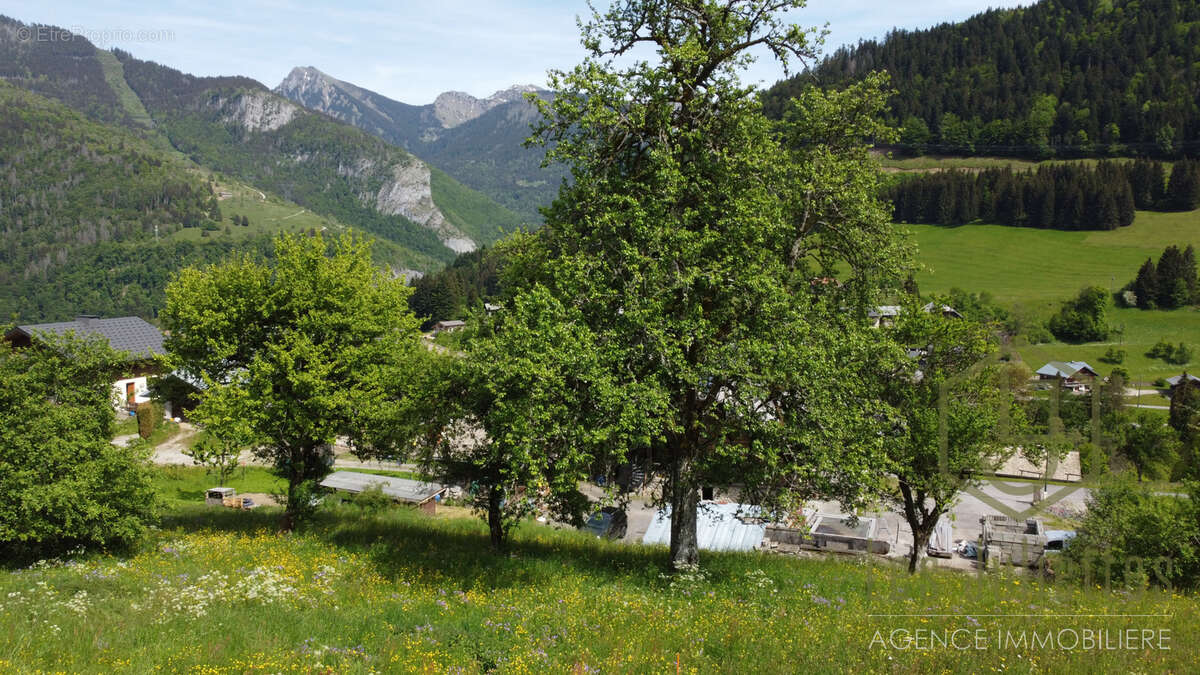 Terrain à SEYTROUX