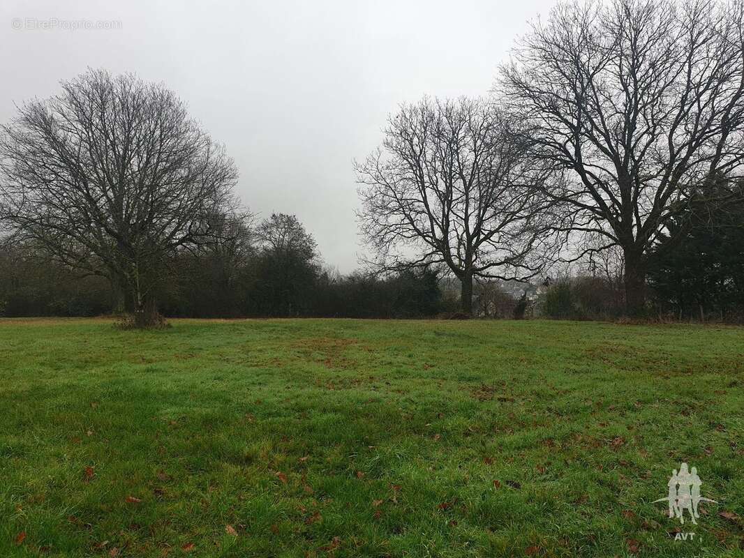 Terrain 2651 m² à Auzouer-En-Touraine  - photo 16