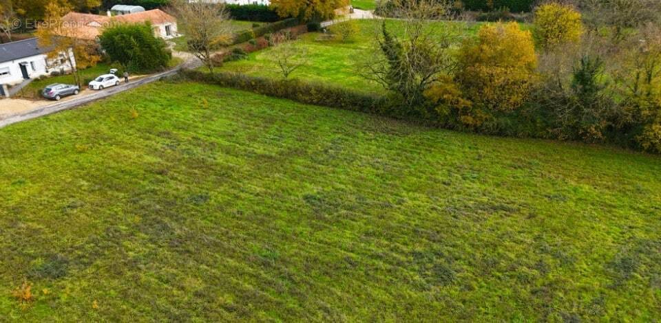 Terrain à SAVIGNE