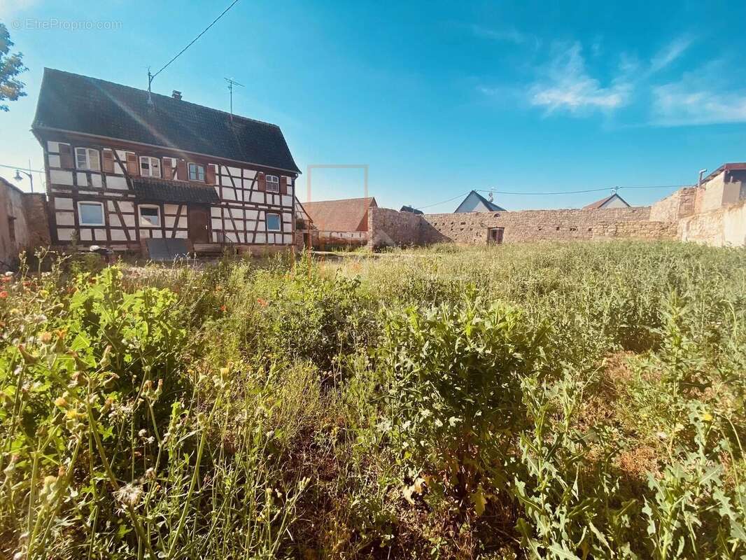 Appartement à MOMMENHEIM