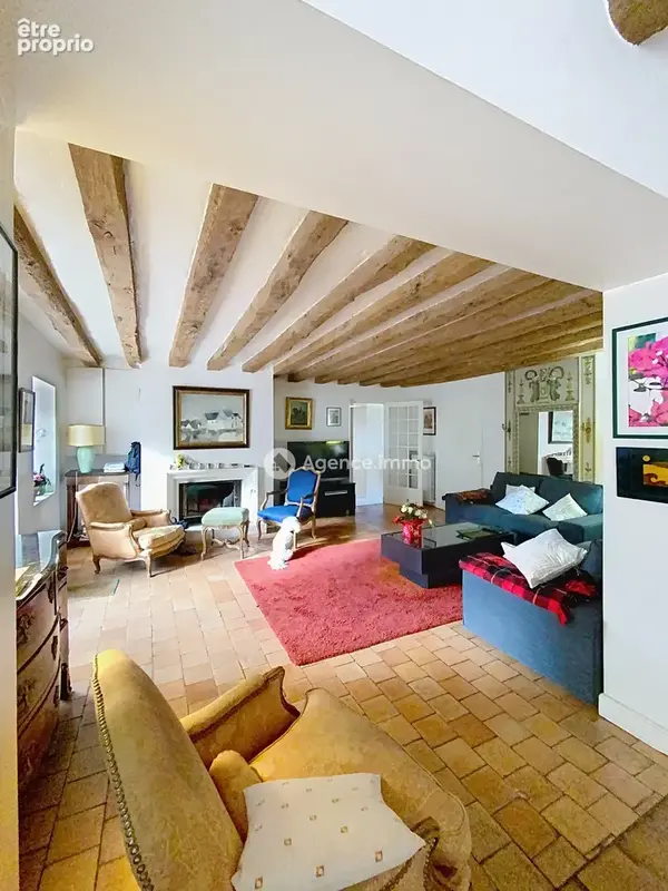 Maison 7 pièces 175 m² à vendre à Blere (37150) - photo 2