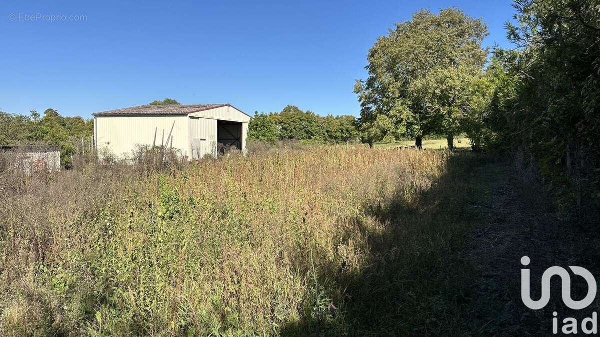 Photo 5 - Terrain à ONJON