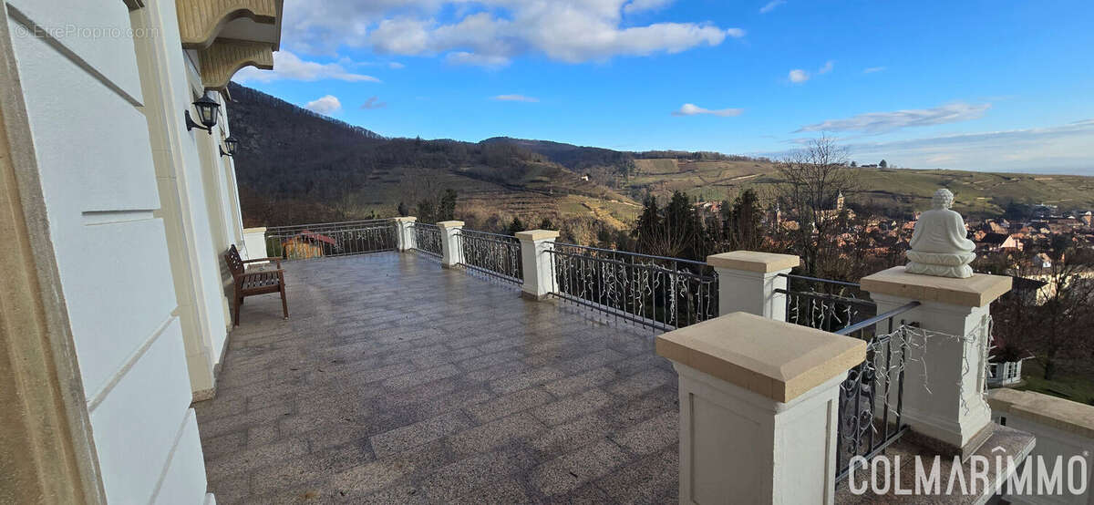 Appartement à RIBEAUVILLE