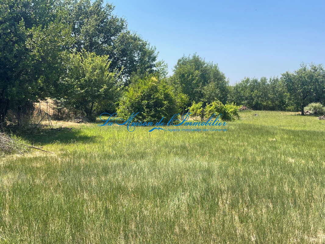 MASSANES, villa de plain F3 avec garage et terrasse sur 3465 m2 de terrain plat avec vue dégagée - photo 4