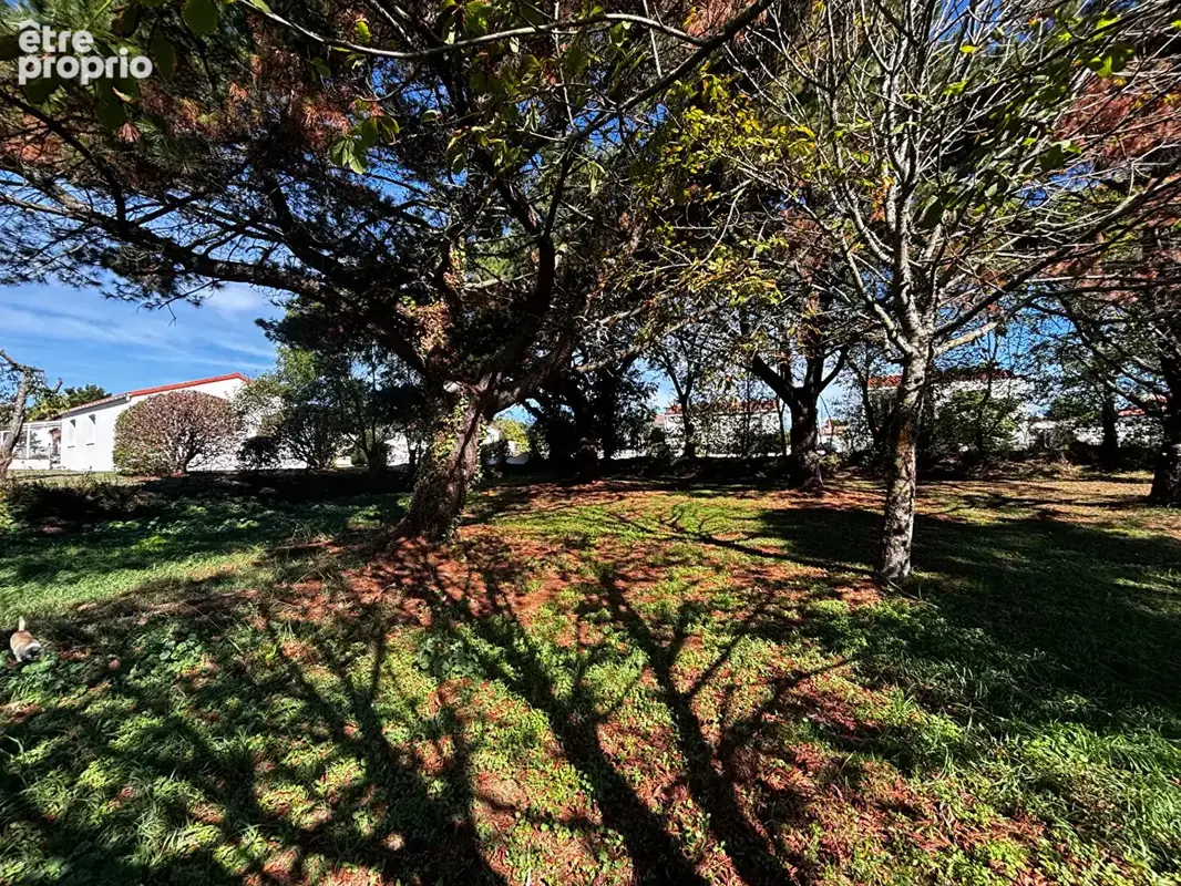 L aiguillon sur vie - photo 2