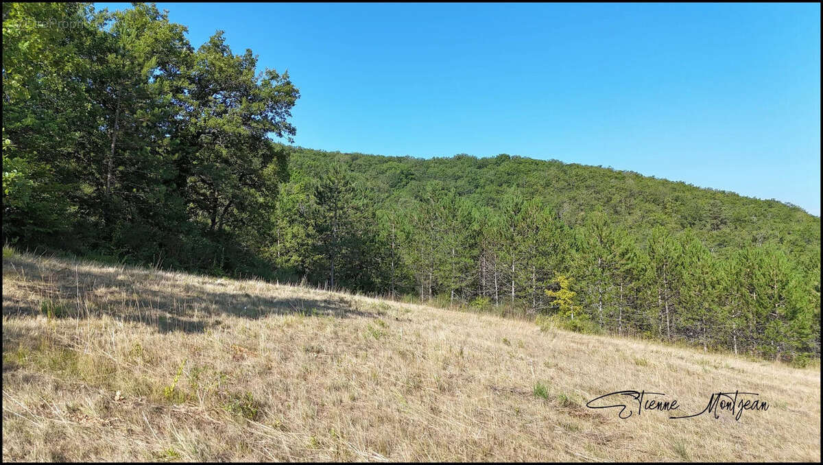Terrain à SAINT-GERMAIN-DU-BEL-AIR