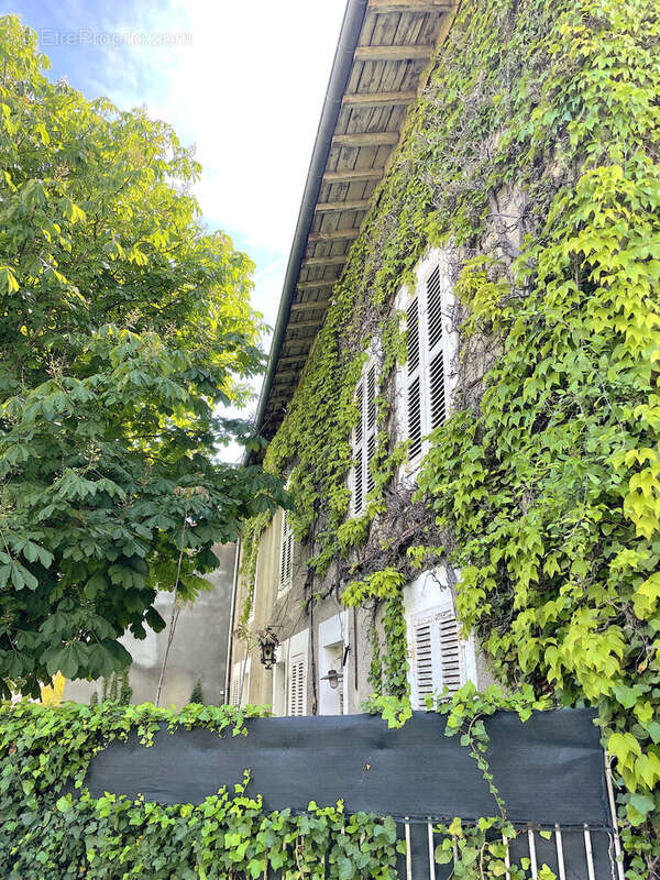 Photo 4 - Maison à CHATILLON-LA-PALUD