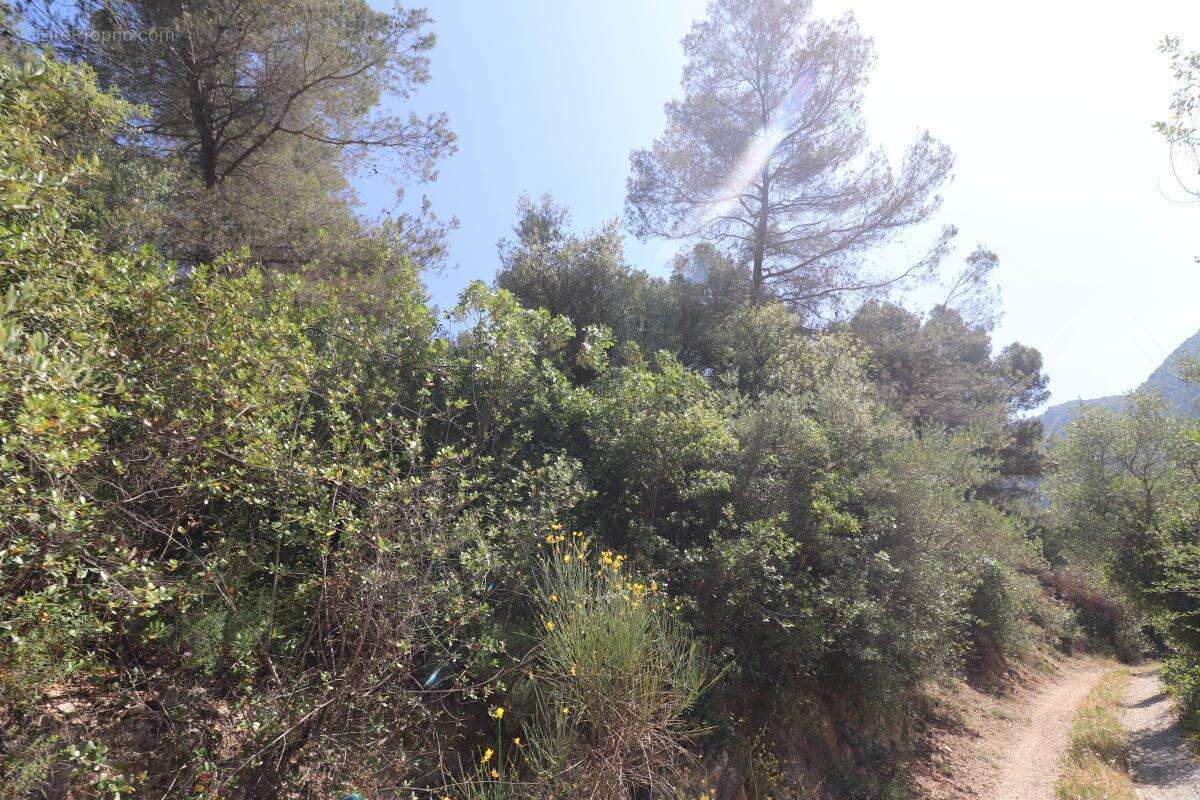 Terrain à PEILLE