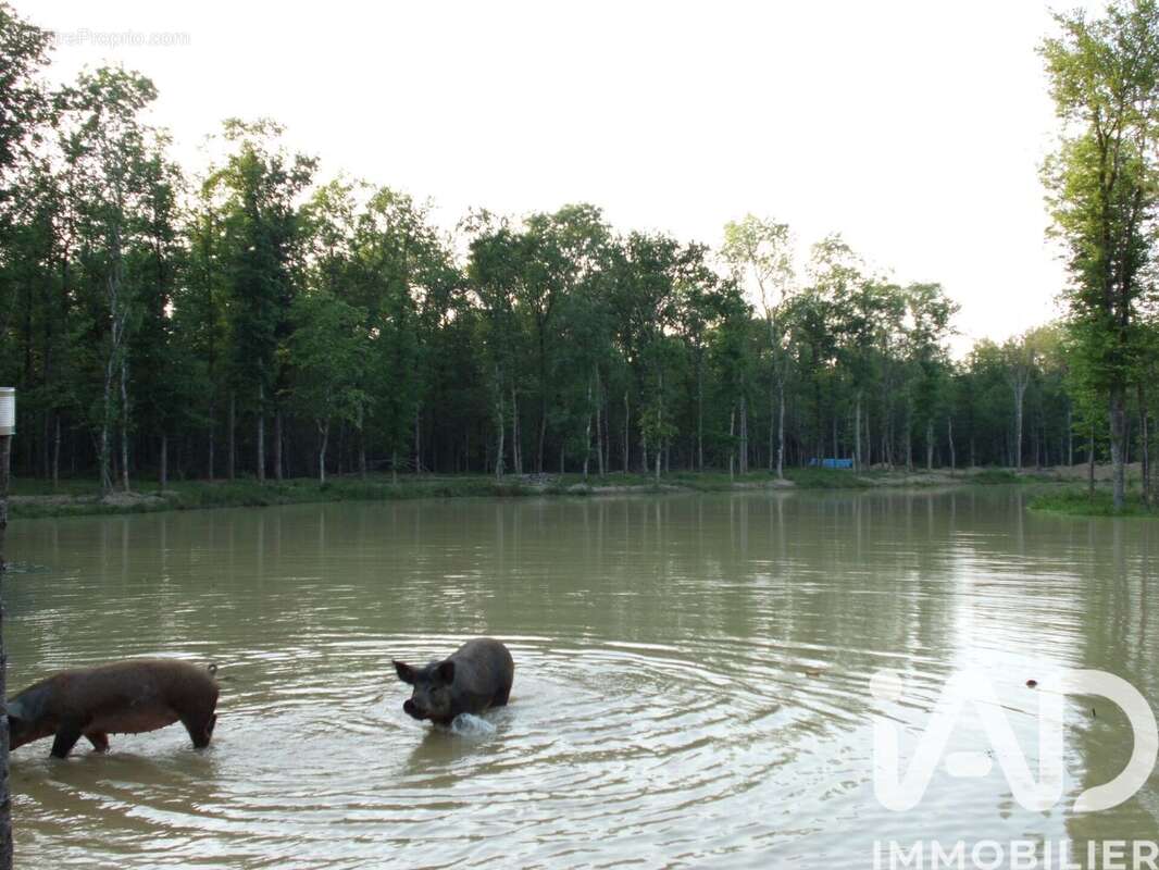 Photo 4 - Terrain à LEGUEVIN
