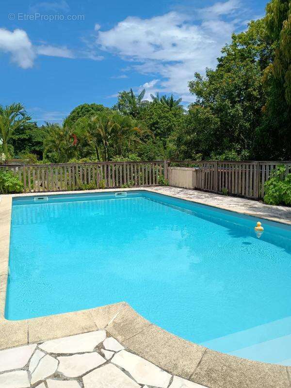 Bel ti coté avec Grande Piscine à Soula 1 - photo 17