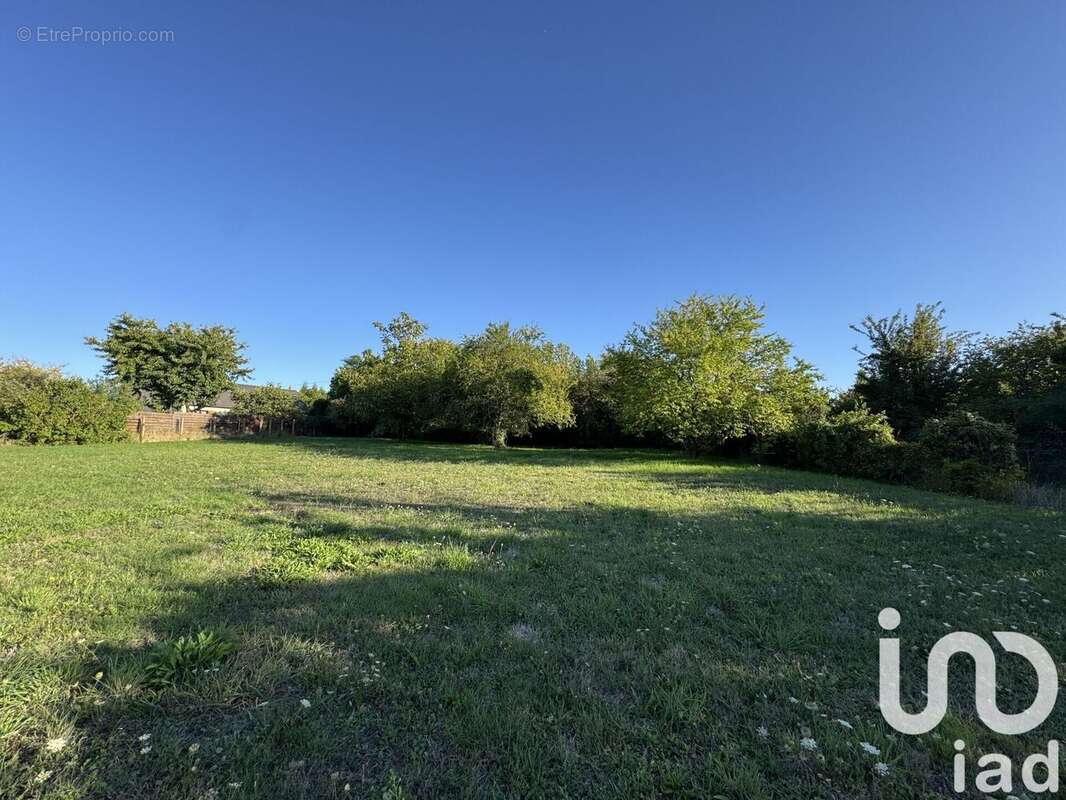 Photo 2 - Terrain à CHINON