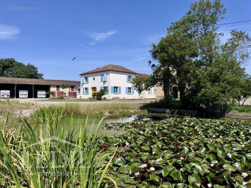 Maison à VIC-FEZENSAC