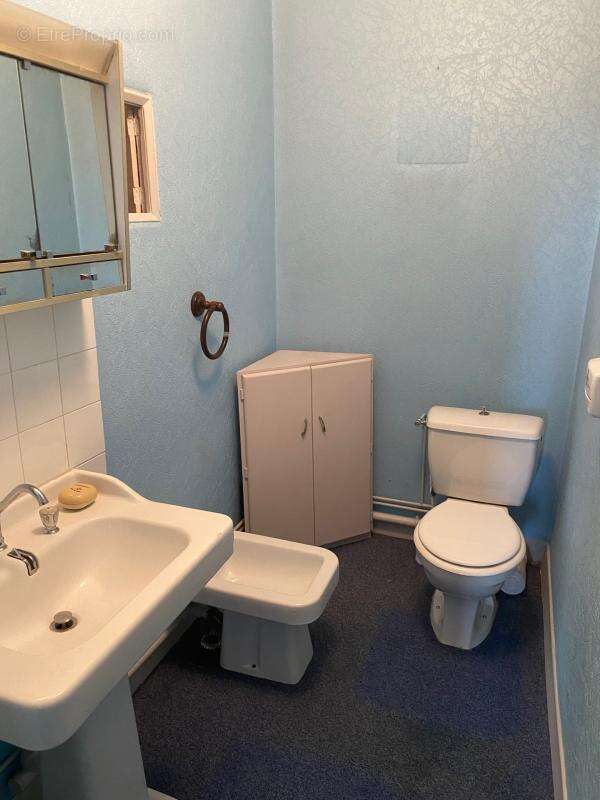 Spacieuse Toulousaine à rénover sur une parcelle de 465m² - photo 17