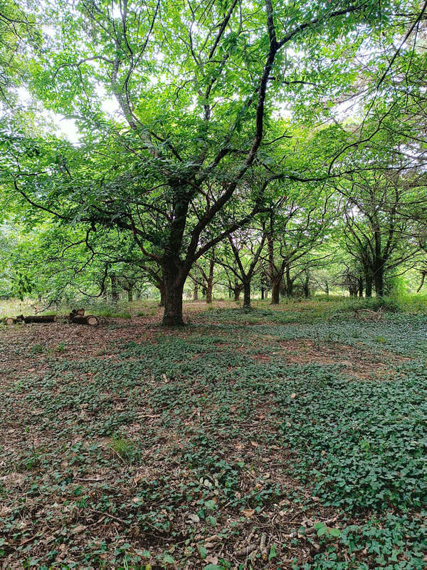 Domaine de prestige - photo 14
