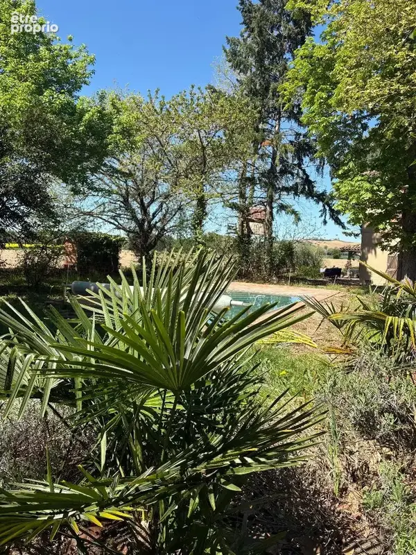   - Maison à LISLE-SUR-TARN