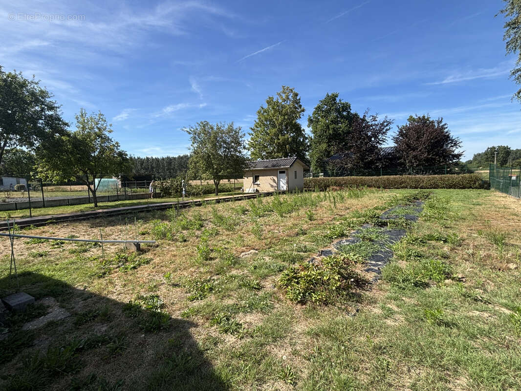 Plain pied individuel secteur orchies - photo 4
