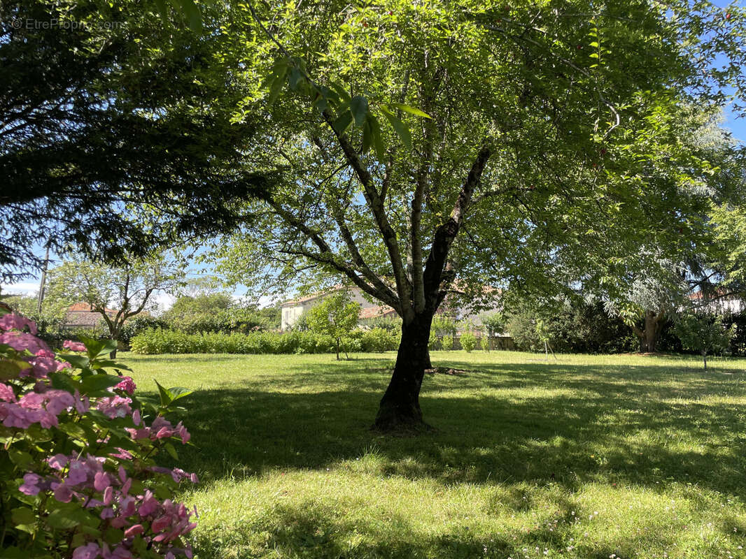 Maison à LA ROCHEFOUCAULD