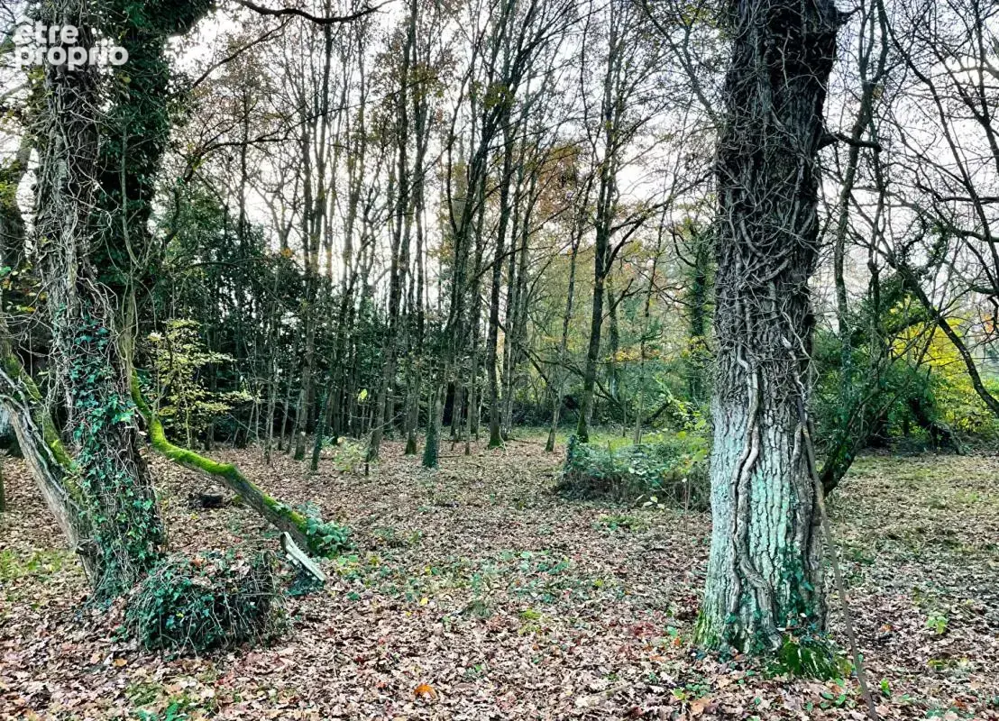 Terrain de loisir avec 2 étangs 8950 m2 - photo 12
