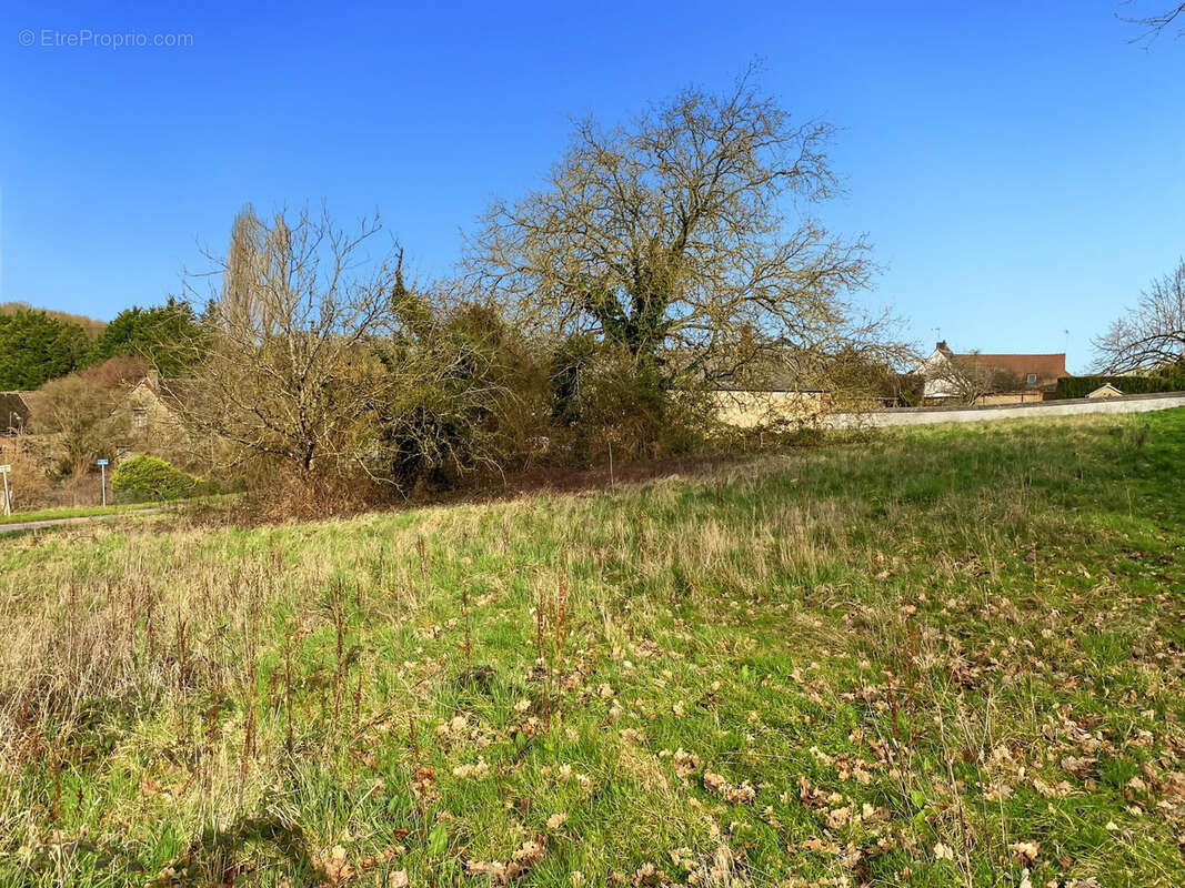 Terrain 2020 m² à Courtenay  - photo 2