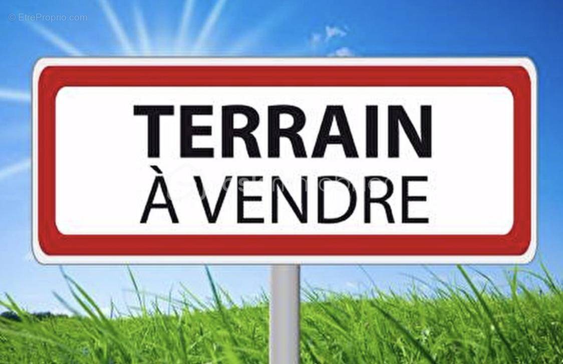 Terrain à VILLEMOISSON-SUR-ORGE