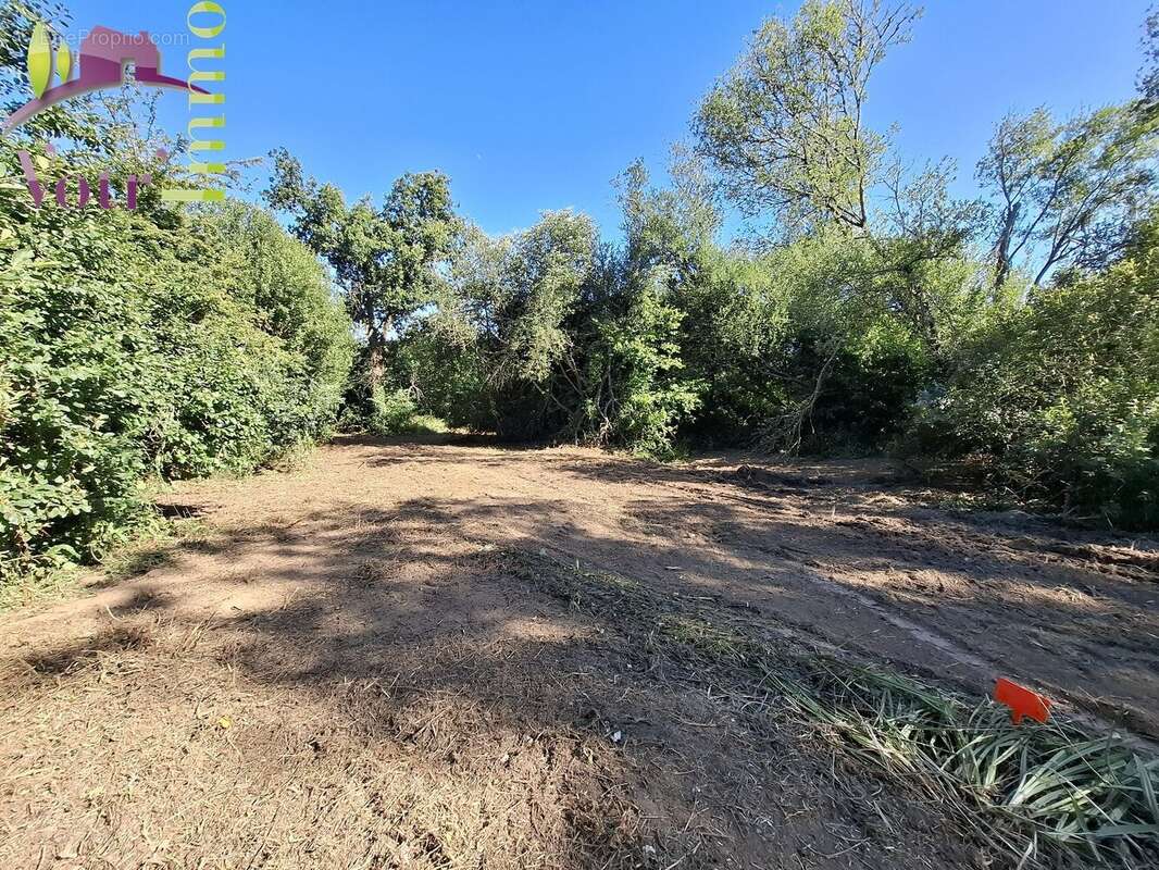 Terrain à PLOUGASTEL-DAOULAS