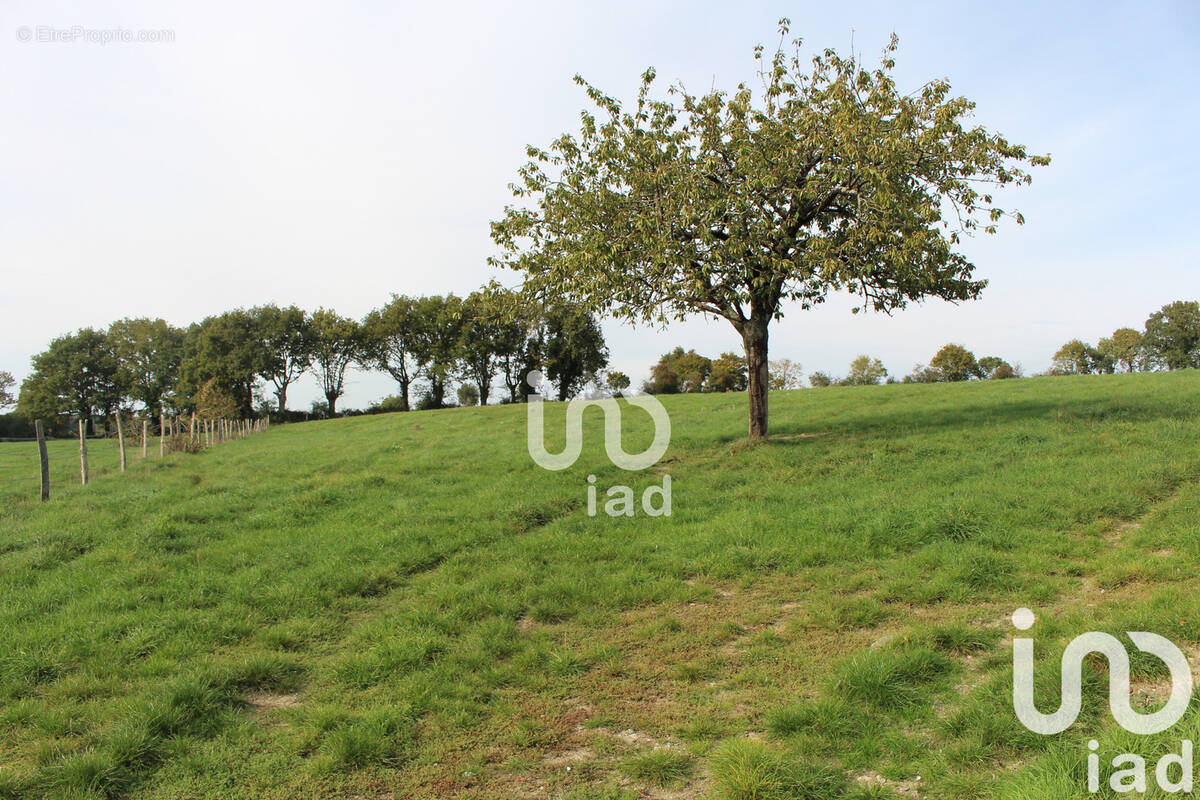 Photo 1 - Maison à SAINTE-GEMMES-LE-ROBERT