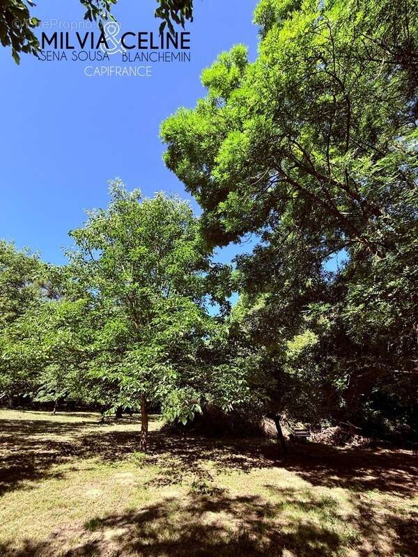 Maison à CARCASSONNE