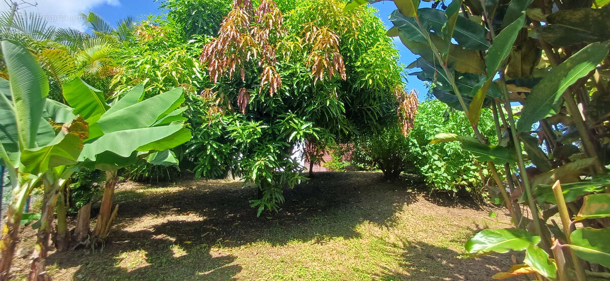 Maison à CAPESTERRE-BELLE-EAU