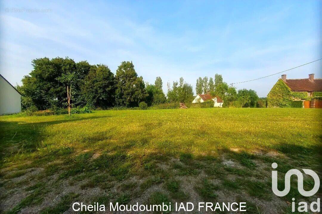 Photo 1 - Terrain à NOE